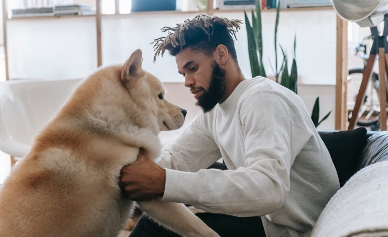 नेपालको उदाहरण दिँदै आदित्यनाथले भने, ‘साना कुरालाई बेवास्ता गर्दा पछि ठुलो समस्या बन्न सक्छ